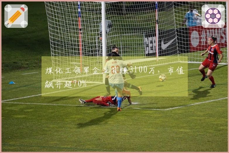 煤化工领军企业日赚3100万，市值飙升超70%